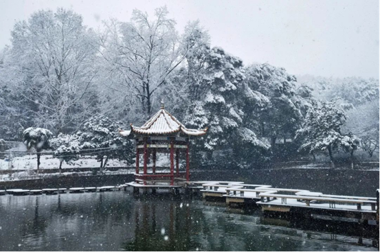 说明: //rcb.zwshipin.net/__local/7/D7/0A/C71FBD50A32EE181CAEF456F9E3_85D5876C_136D16.png