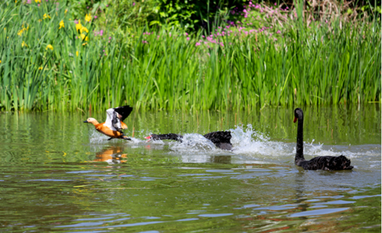 说明: //rcb.zwshipin.net/__local/5/A1/BF/141495AC6945C309DDB4AD2C889_6E35C68A_1210AD.png