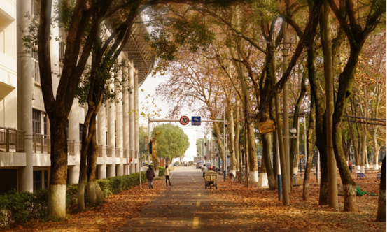 说明: //rcb.zwshipin.net/__local/F/DC/AD/26AAF68465C39908E951504ECA2_E70C2E5D_119062.png